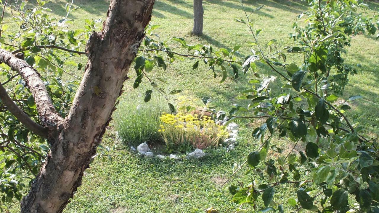 Guest House Ema Grabovac  Dış mekan fotoğraf